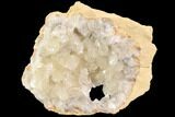 Fluorescent Calcite Geode In Sandstone - Morocco #89632-1